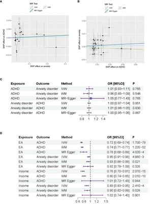 Exploring the genetic and socioeconomic interplay between ADHD and anxiety disorders using Mendelian randomization